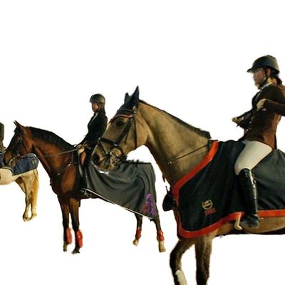 屋内馬術競技場用軽量鉄骨構造建物