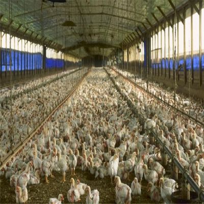 プロプレカスト 鋼鉄構造 空間枠 鶏場ビル