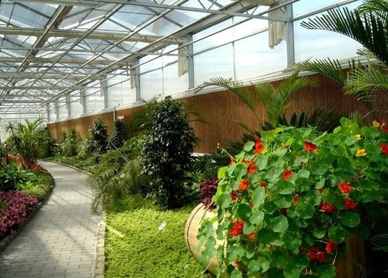 植物 園 の 天井 の 天窓 植物 の 生存 を 促進 する 天然 光 を 最大限に 活用 する
