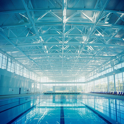 スピシャル・ストラクチャ・オブ・スチール・フォー・タッチ・オブ・プシン