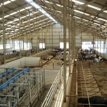 オーダーメイド 鉄鋼構造 迅速な設置の家禽屋