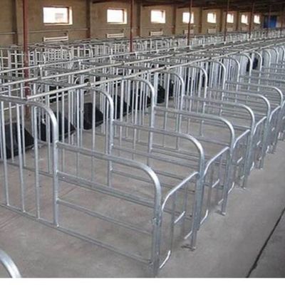 オーダーメイド 鉄鋼構造 迅速な設置の家禽屋